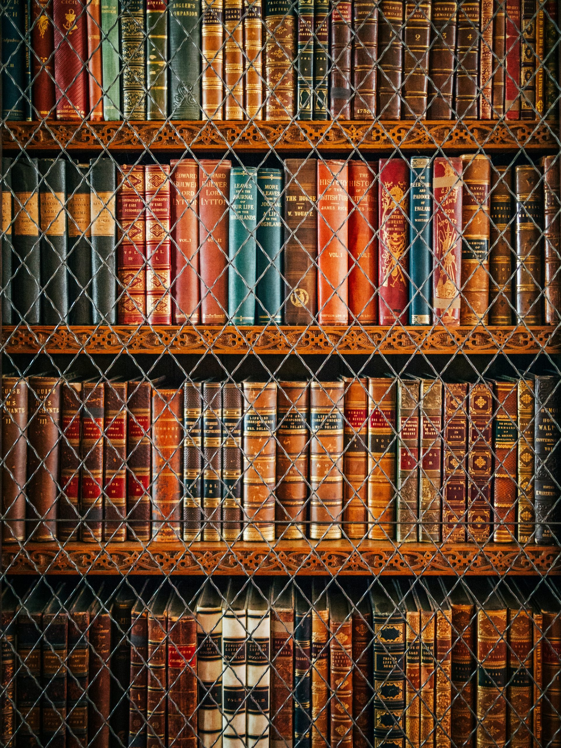 assorted book lot
